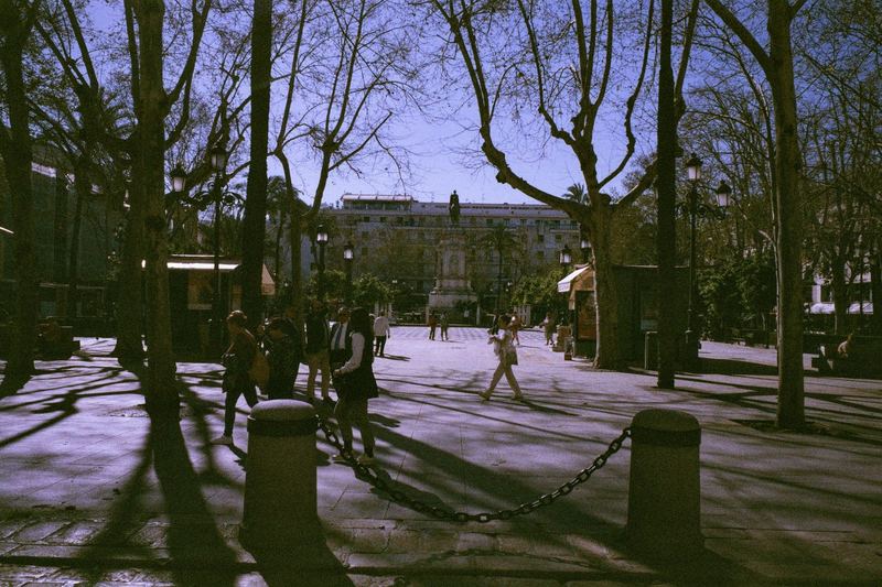 Agfa 200 Expired
