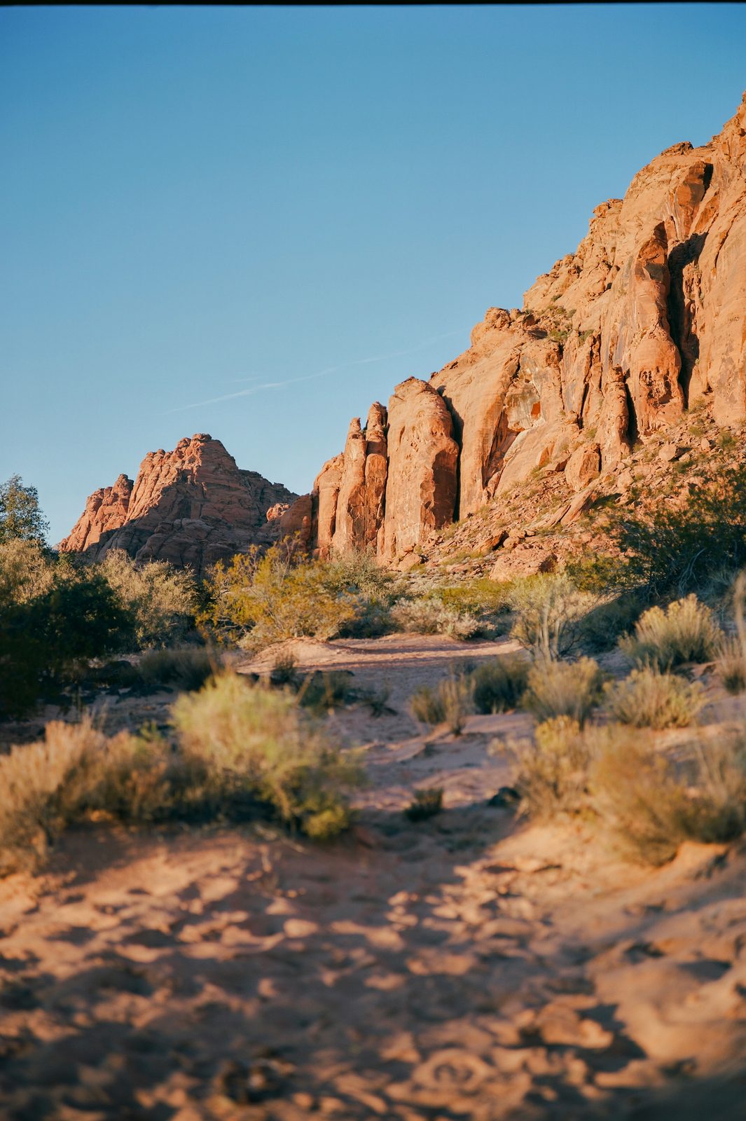 Kodak Ektar 100