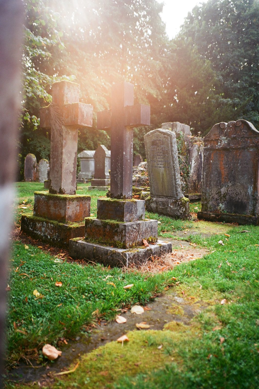 Kodak Ektar 100