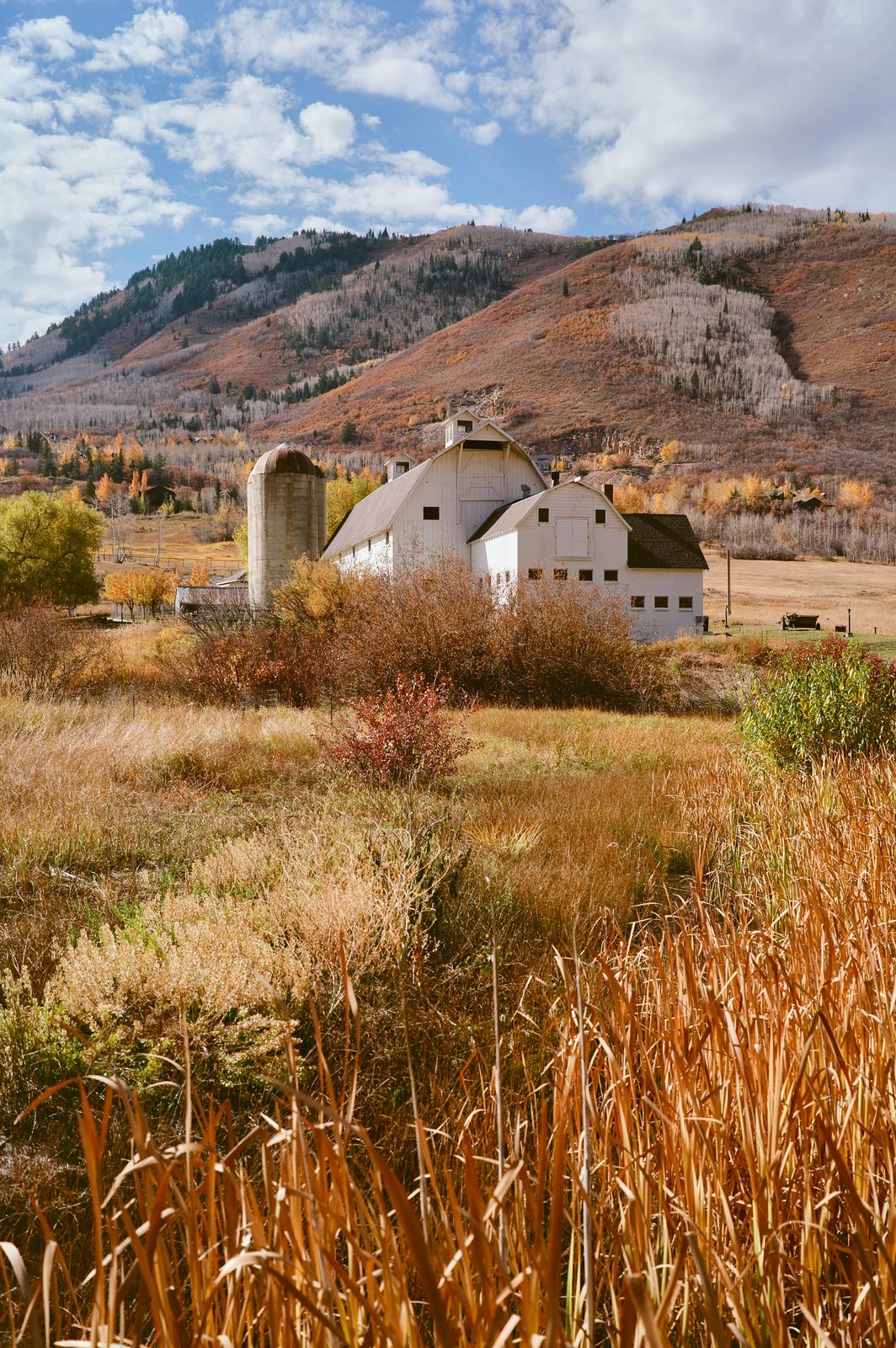 Kodak Ektar 100