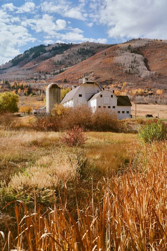 Kodak Ektar 100