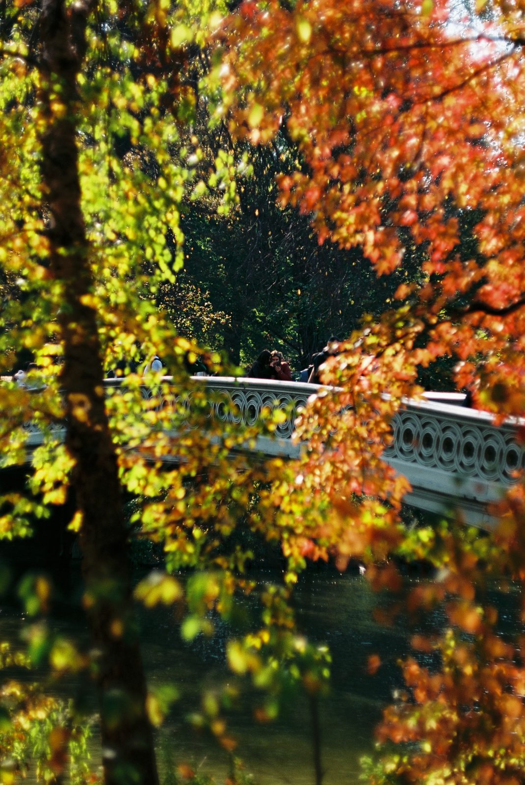 Kodak Ektar 100