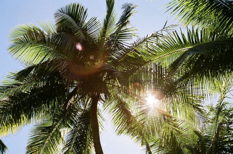 Kodak Gold 200