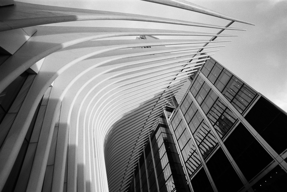 The Oculus from below