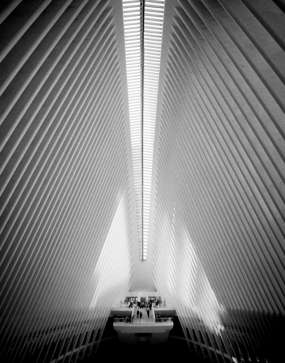 The Oculus, New York